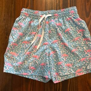 Chubbies classic swim trunk - The Domingos are for the Flamingos